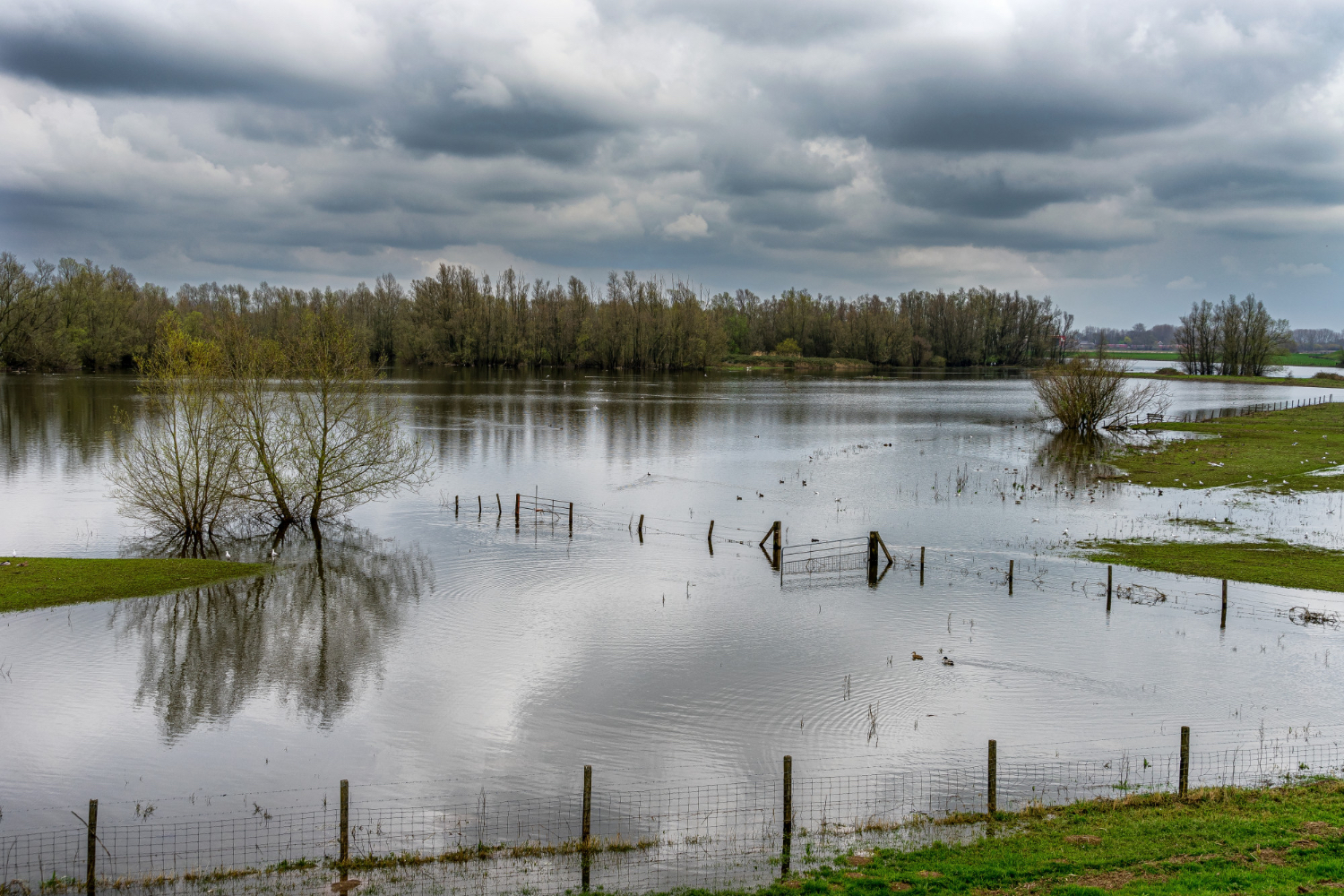 Flooding
