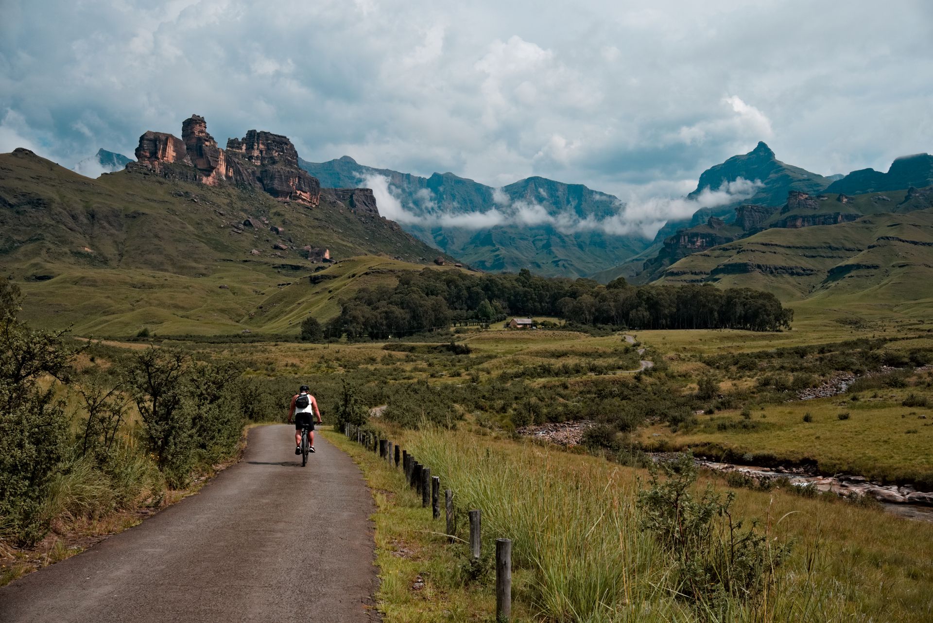 photo by : Linken Van Zyl