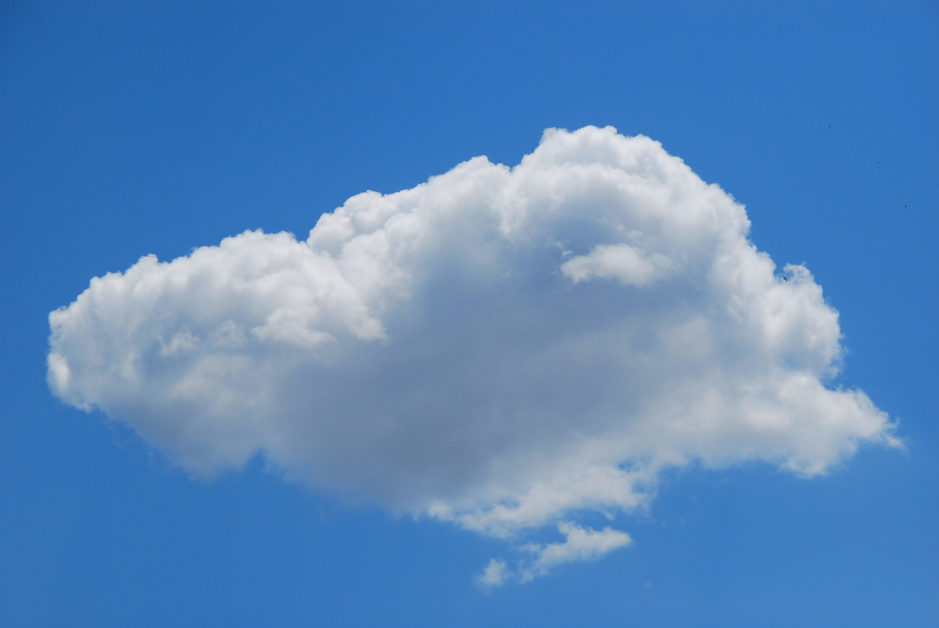 Cumulus Cloud