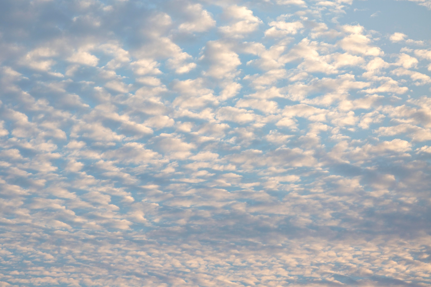 Altocumulus