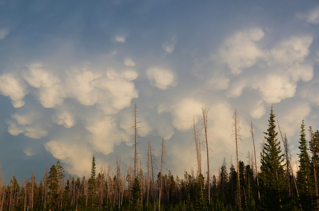 steppinstars-mammatus-clouds-68661_1280