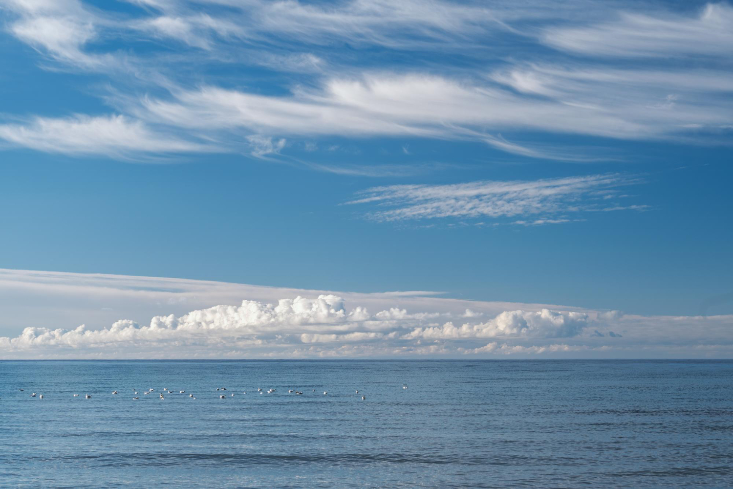 Cirrus clouds