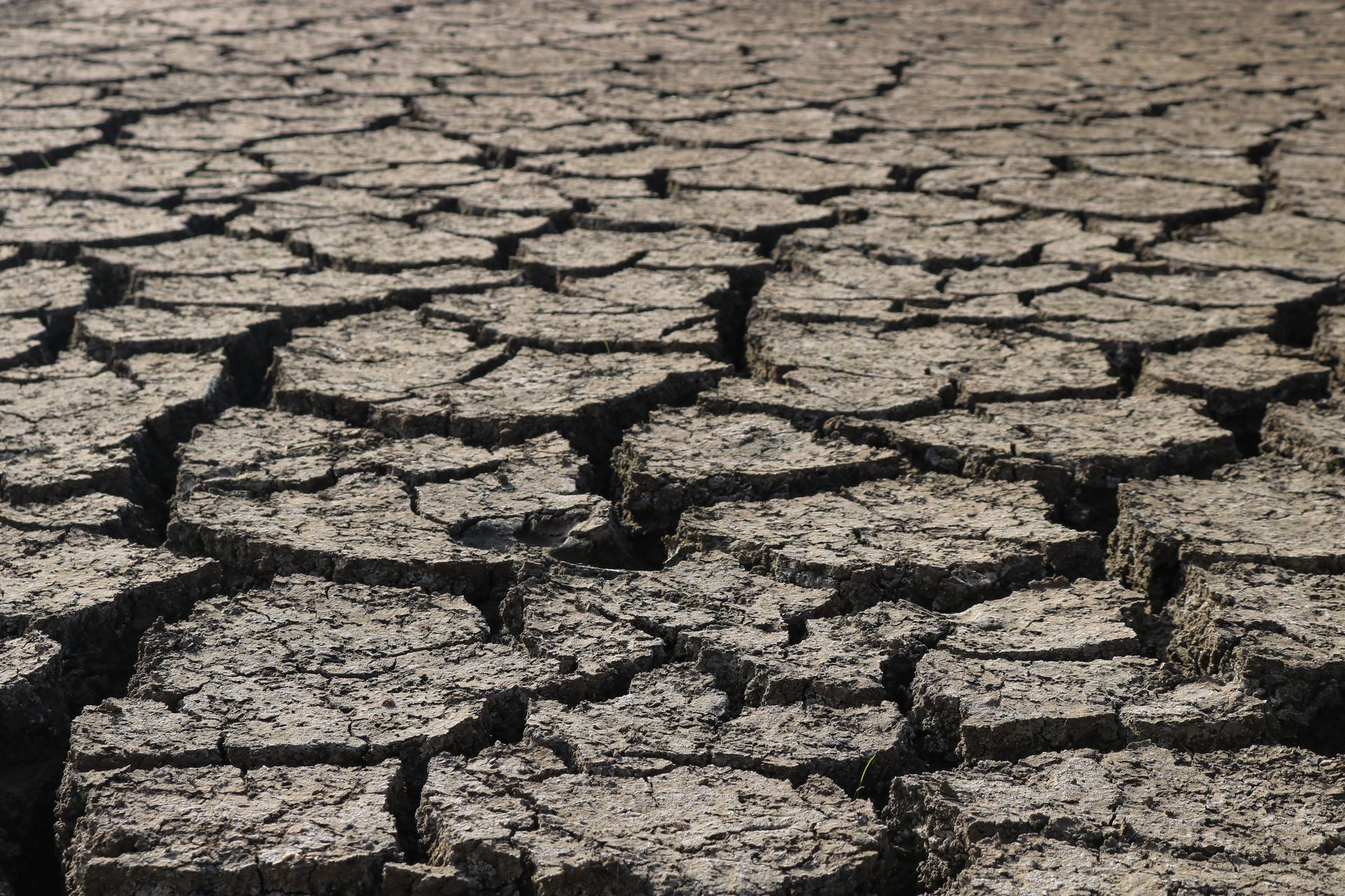 Drought